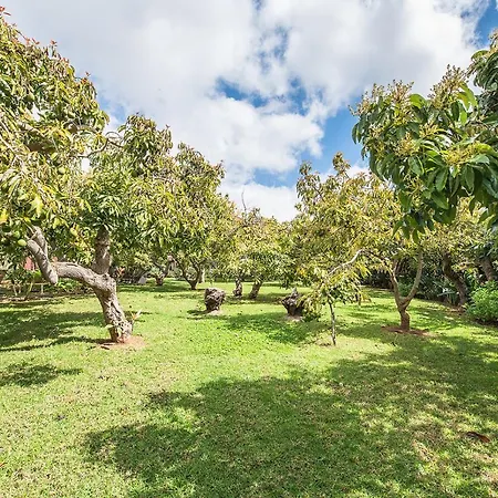 Homeforguest Cosy Rural Flat El Romero With Large Gardens 아파트 *