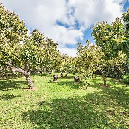 Homeforguest Cosy Rural Flat El Romero With Large Gardens Daire *