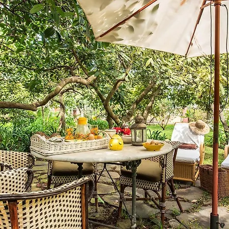 Homeforguest Cosy Rural Flat El Romero With Large Gardens * Tacoronte