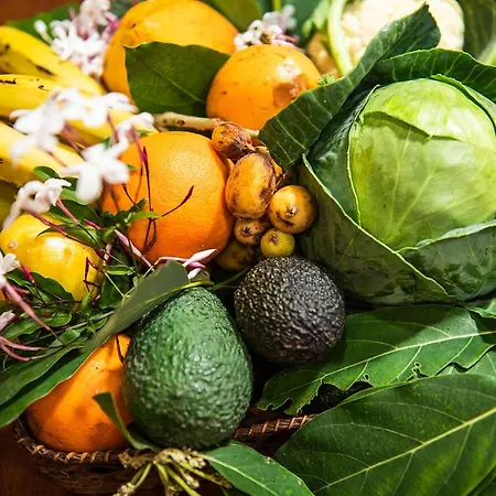 Homeforguest Cosy Rural Flat El Romero With Large Gardens Daire *