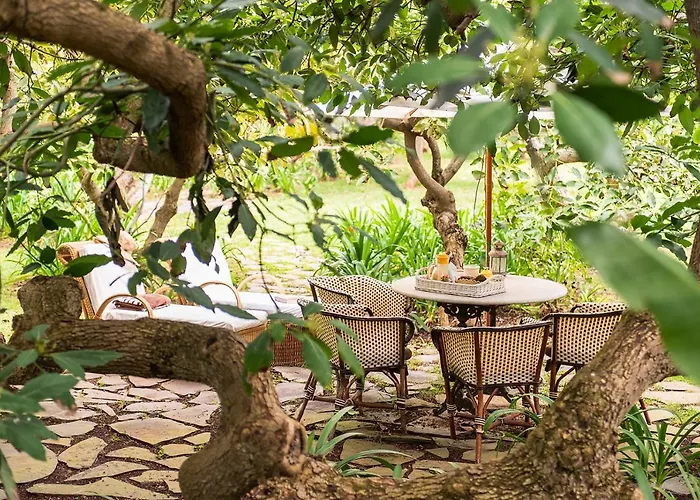 Homeforguest Cosy Rural Flat El Romero With Large Gardens * Tacoronte