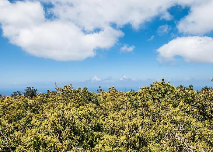 Apartament Homeforguest Cosy Rural Flat El Romero With Large Gardens Tacoronte