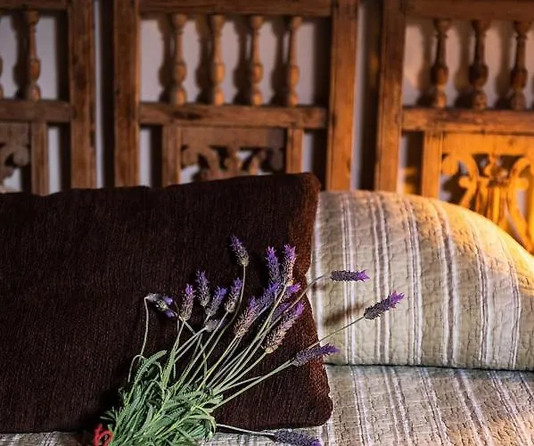 Homeforguest Cosy Rural Flat El Romero With Large Gardens Tacoronte