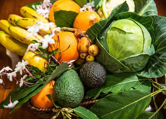 Homeforguest Cosy Rural Flat El Romero With Large Gardens شقة *