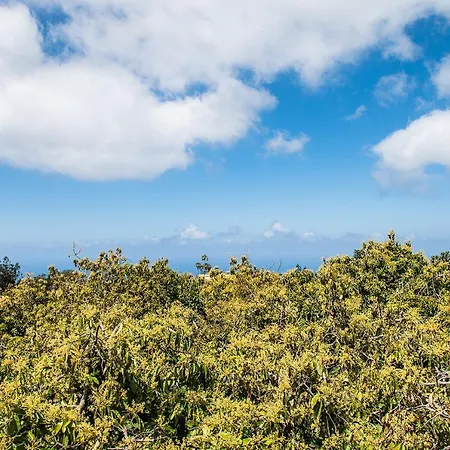 Appartement Homeforguest Cosy Rural Flat El Romero With Large Gardens Tacoronte