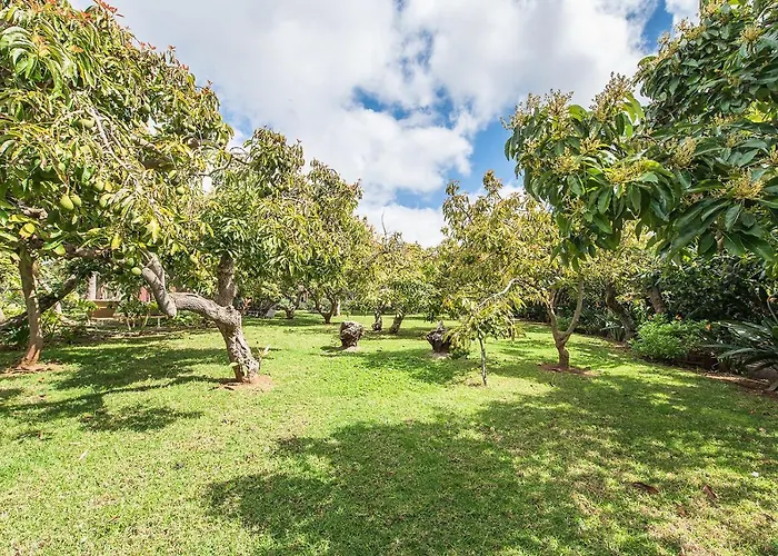 Homeforguest Cosy Rural Flat El Romero With Large Gardens Апартаменты *