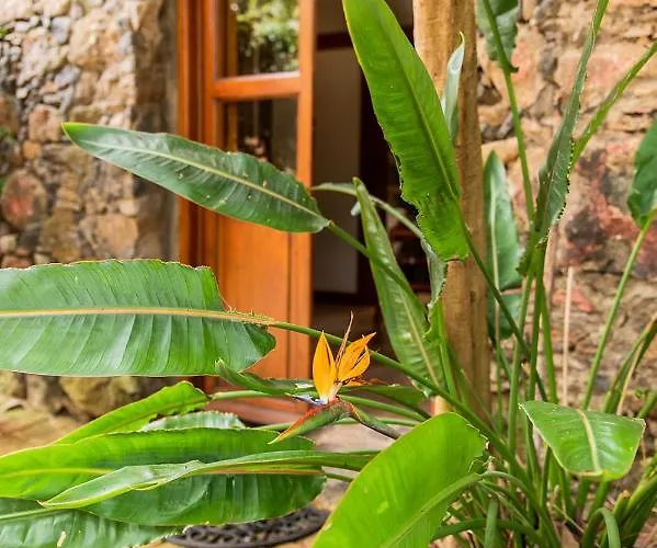 Апартаменты Homeforguest Cosy Rural Flat El Romero With Large Gardens Такоронте